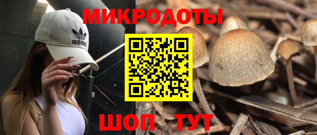 Псилоцибиновые грибы ЛСД  Псилоцибиновые грибы Magic Shrooms  Вход с VPN  Нижнеудинск 